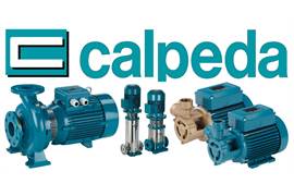 Calpeda Repair kit for NM25/12AE  1005294058