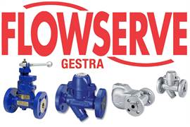 Flowserve Gestra NRV 2-43s 