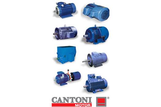 Cantoni Motor SKG16043 three-phase geared m