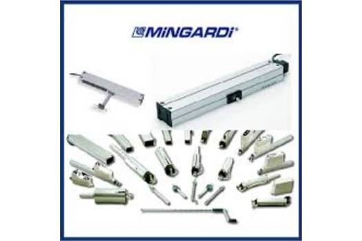 Mingardi 1E96200140A00  obsolete, alternative NTS1-0200-230-000 Rod Actuator